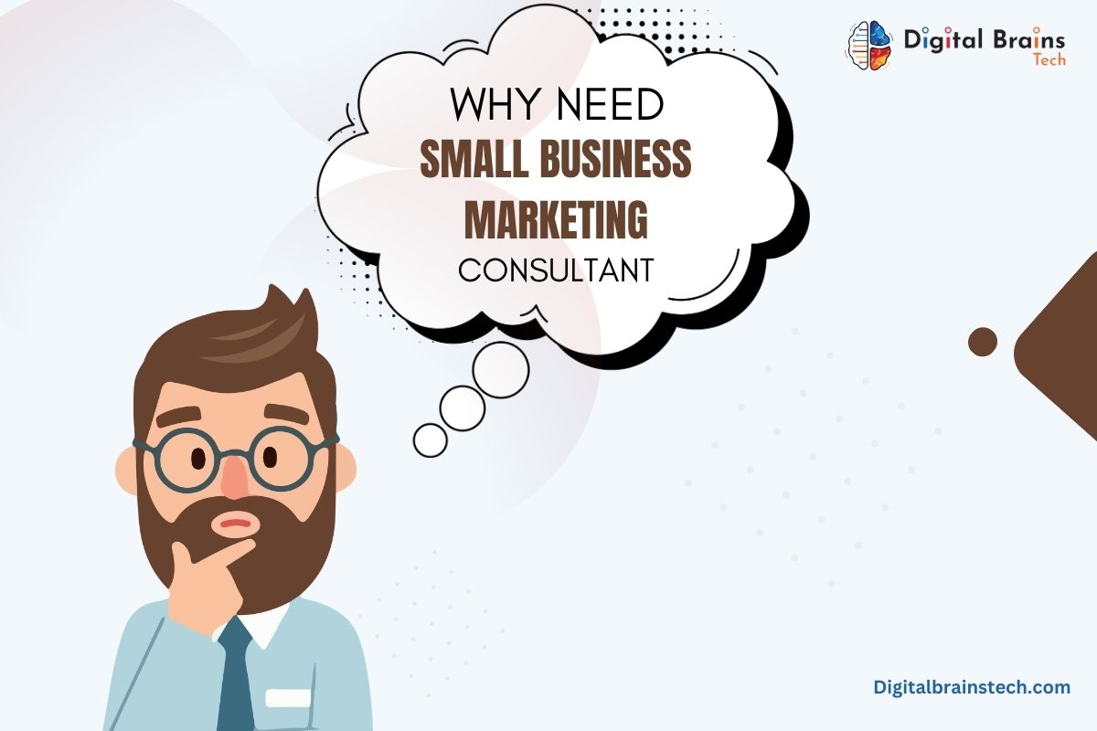 Why You Need a Small Business Marketing Consultant